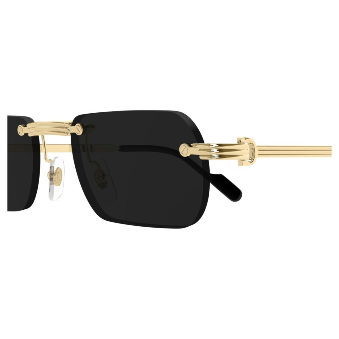 Cartier Gold Ct0499s Rectangular Frame Sunglasses