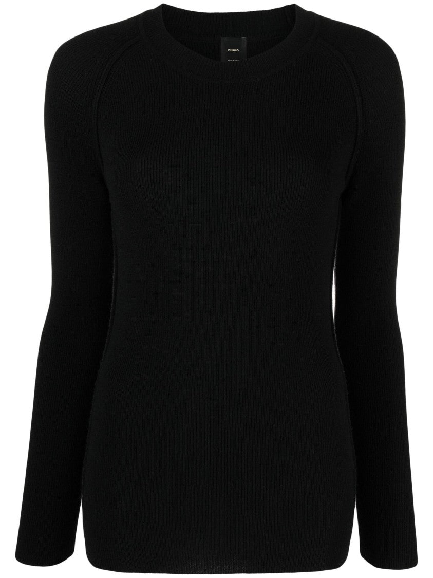 Pinko Ramarro Sweater