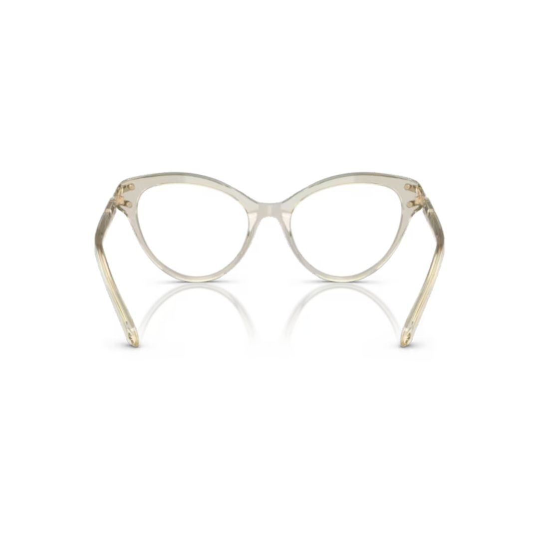 Swarovski 0Sk2030 Translucent Acetate Cat-Eye Eyeglasses