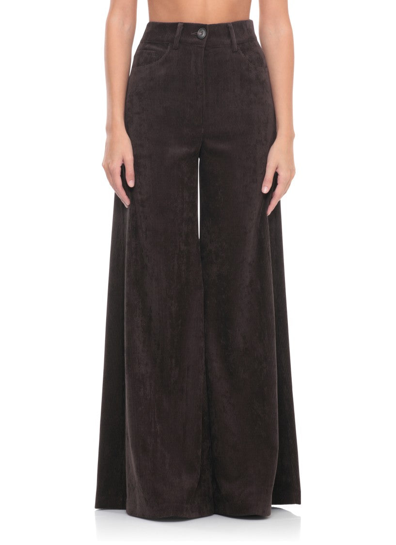 D. Exterior Brown Corduroy Palazzo Pants