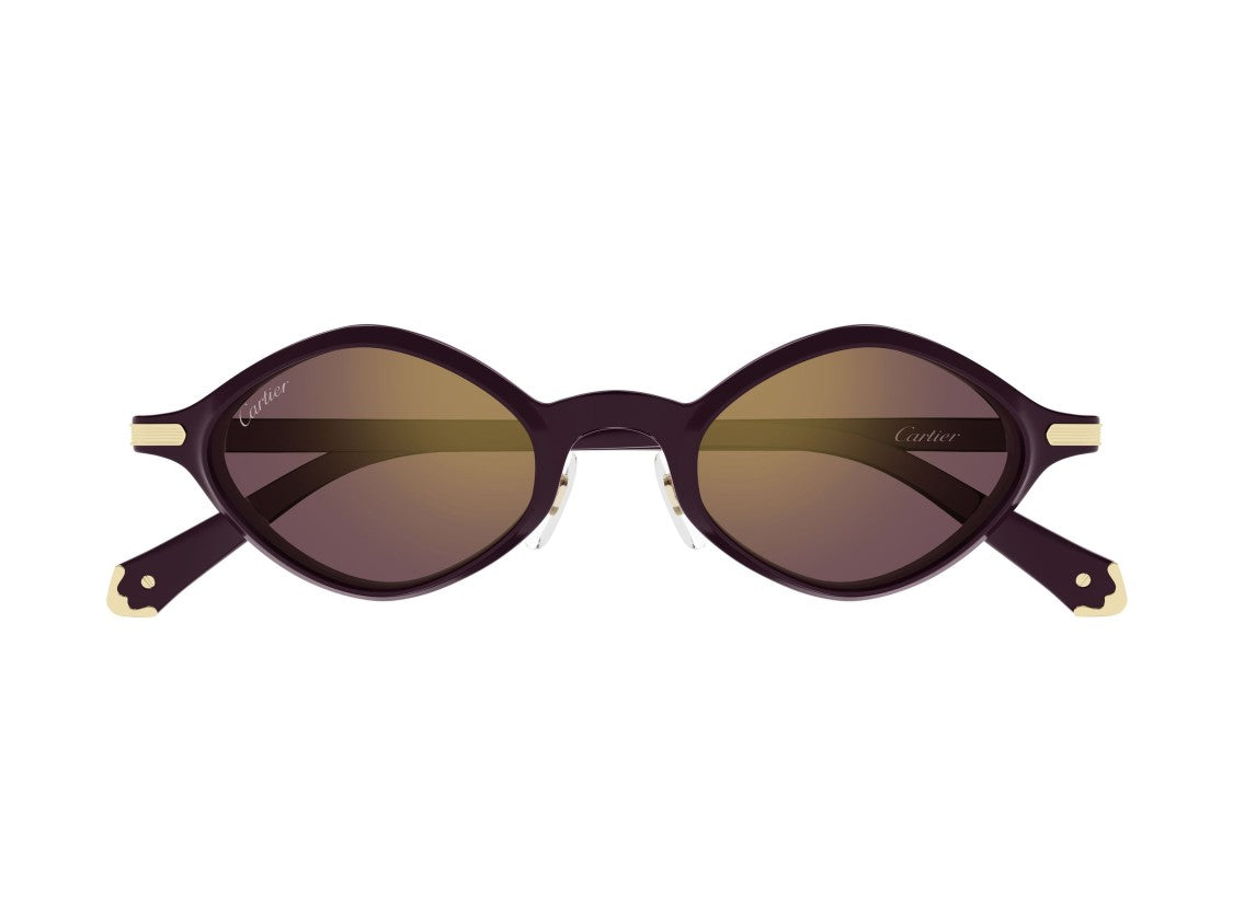 Cartier Ct0540s Rounded Gold Accents Sunglasses