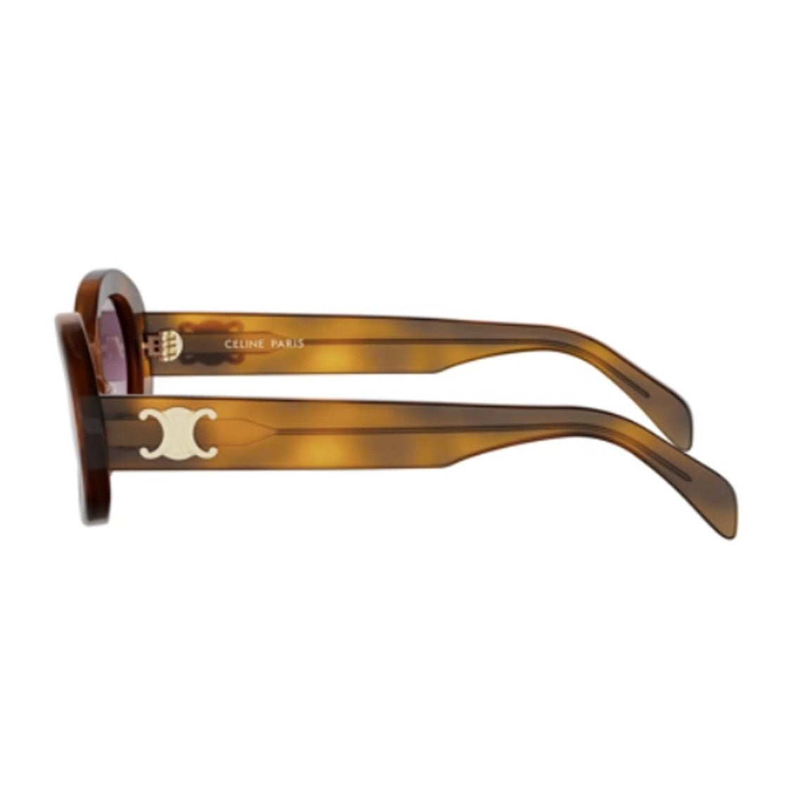 Celine Havana Triomphe Acetate Oval Sunglasses