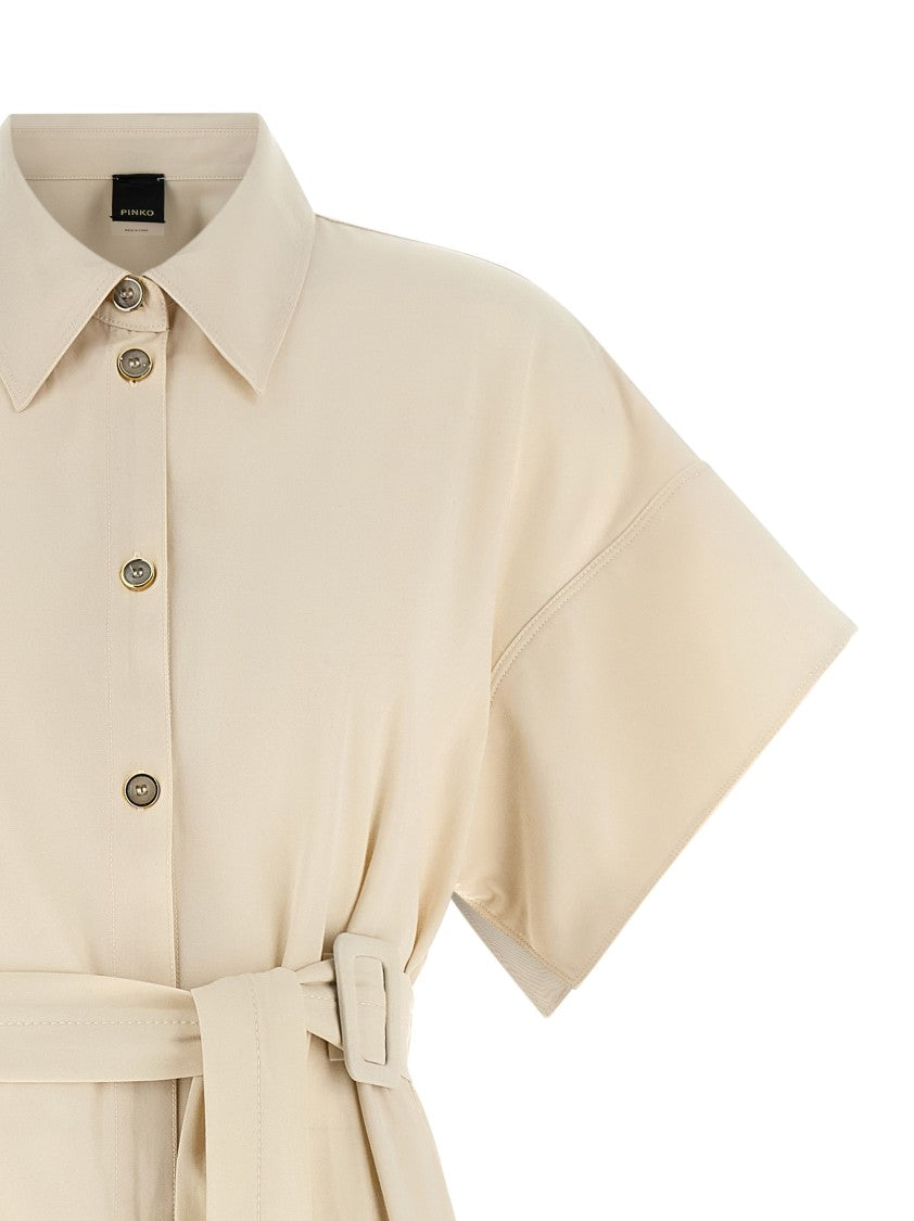 Pinko 'Alesha' Dress