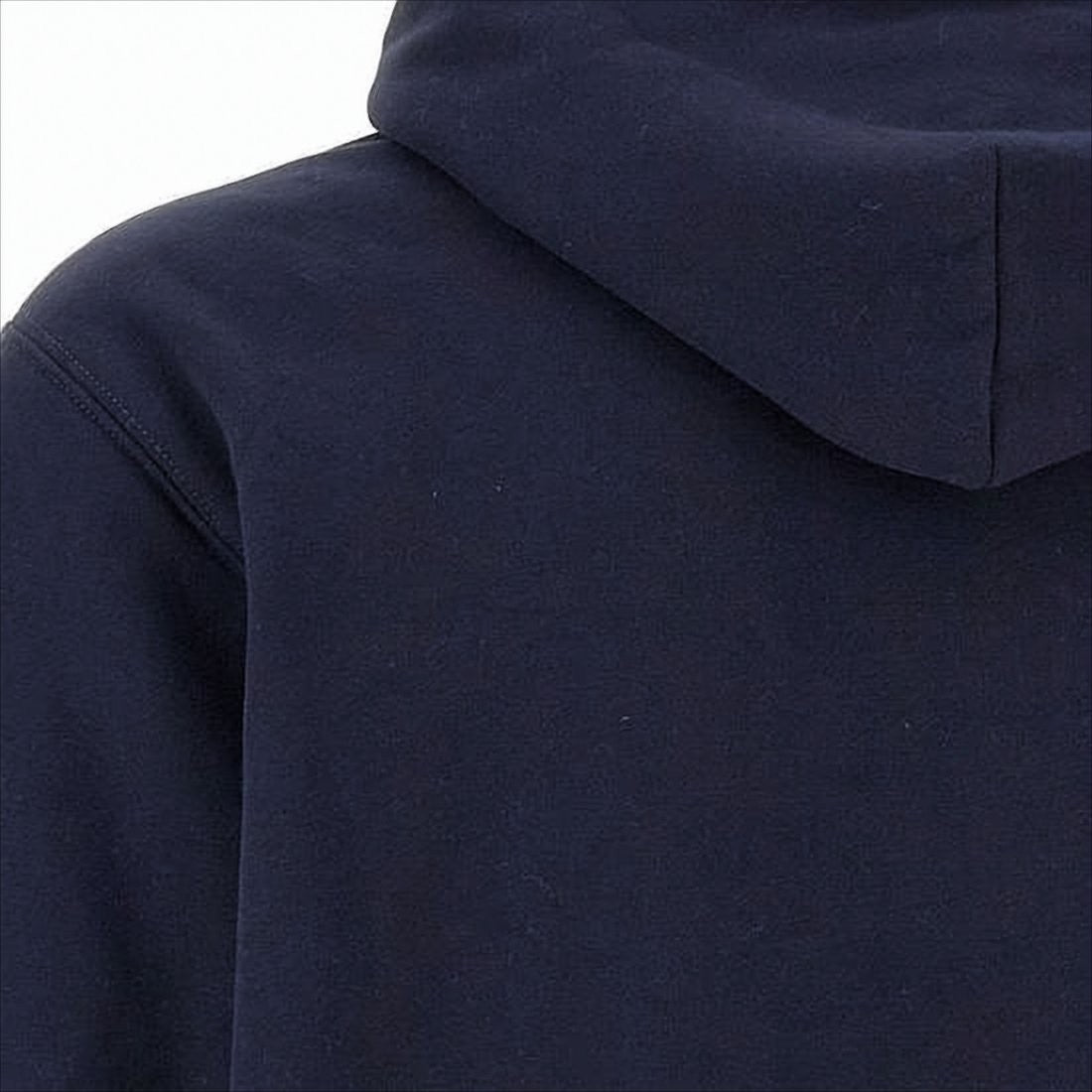 Polo Ralph Lauren Sherpa-Lined Hoodie With Iconic Bear Graphic