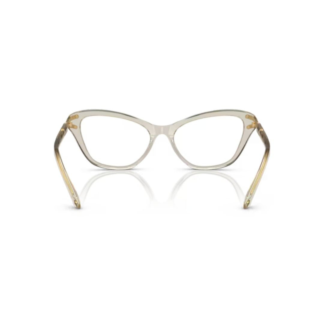 Swarovski 0Sk2031 Translucent Acetate Cat-Eye Oversized Sunglasses