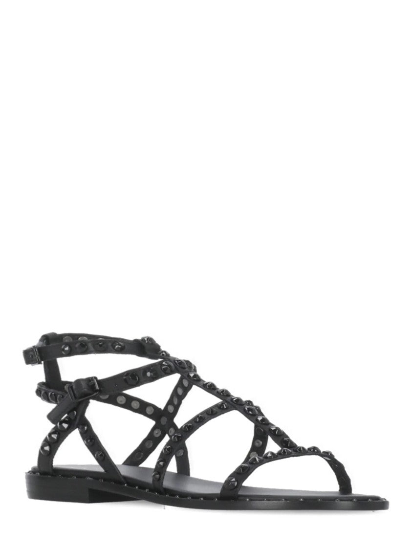 Ash Studded Flat Sandals With Adjustable Ankle Strap