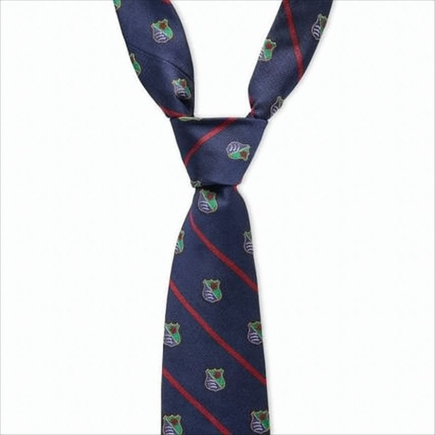 Polo Ralph Lauren Silk Necktie With Navy Base