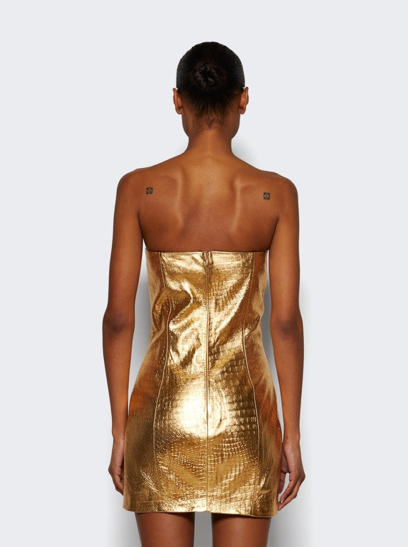 The New Arrivals By Ilkyaz Ozel Rochelle Leather Mini Dress - Solar Eclipse