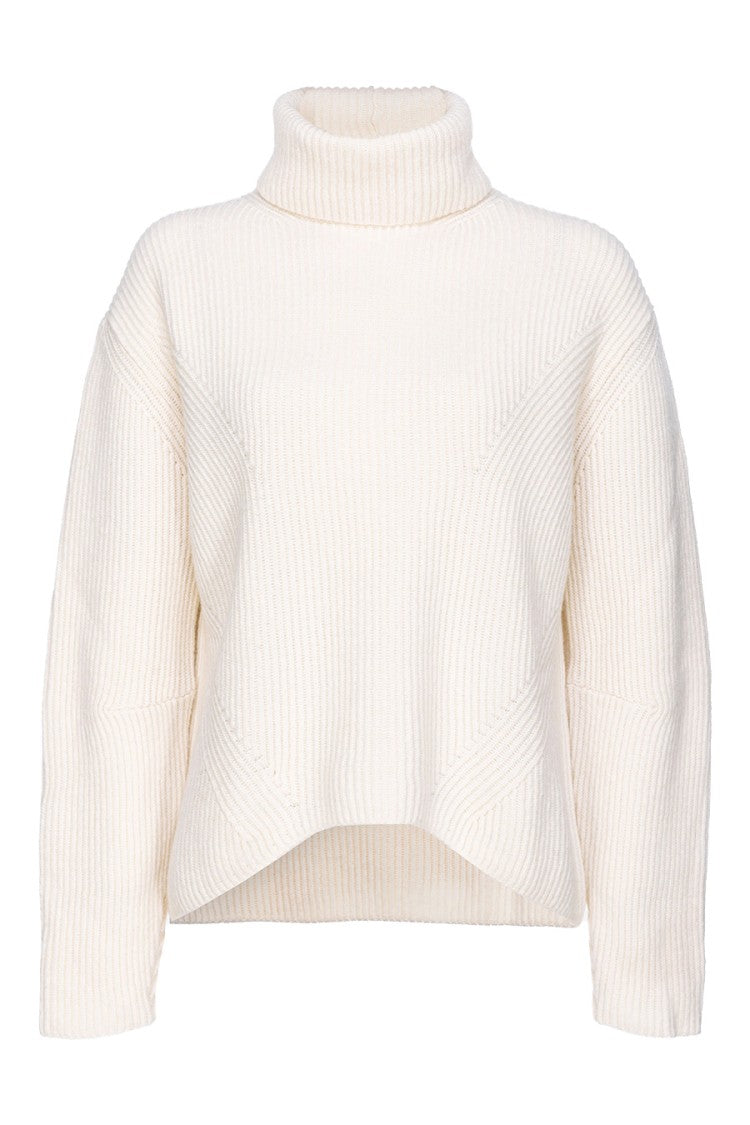 Pinko Ribbed Knit Sweater High Turtleneck Boxy