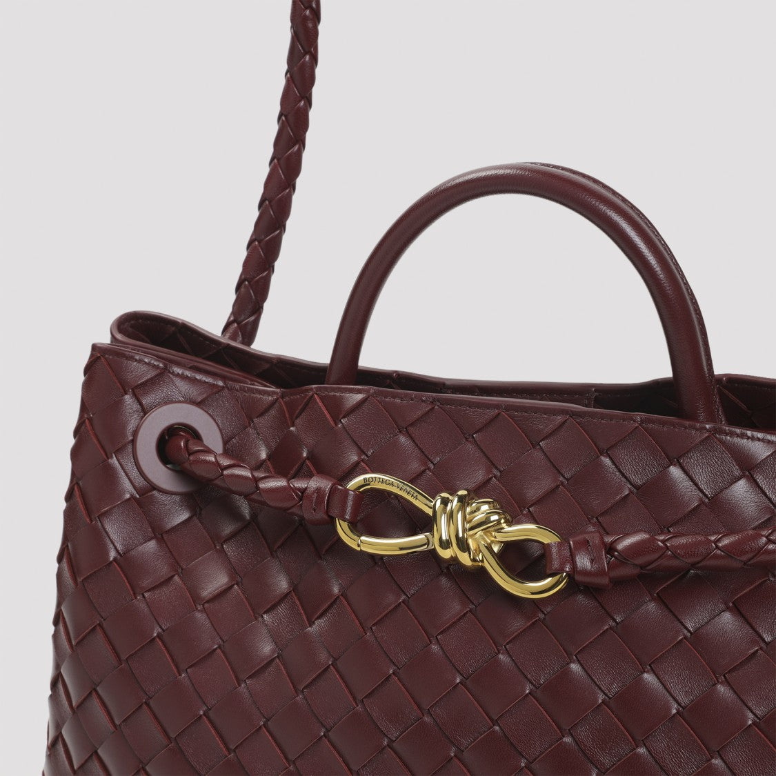 Bottega Veneta Barolo Andiamo Medium Bag