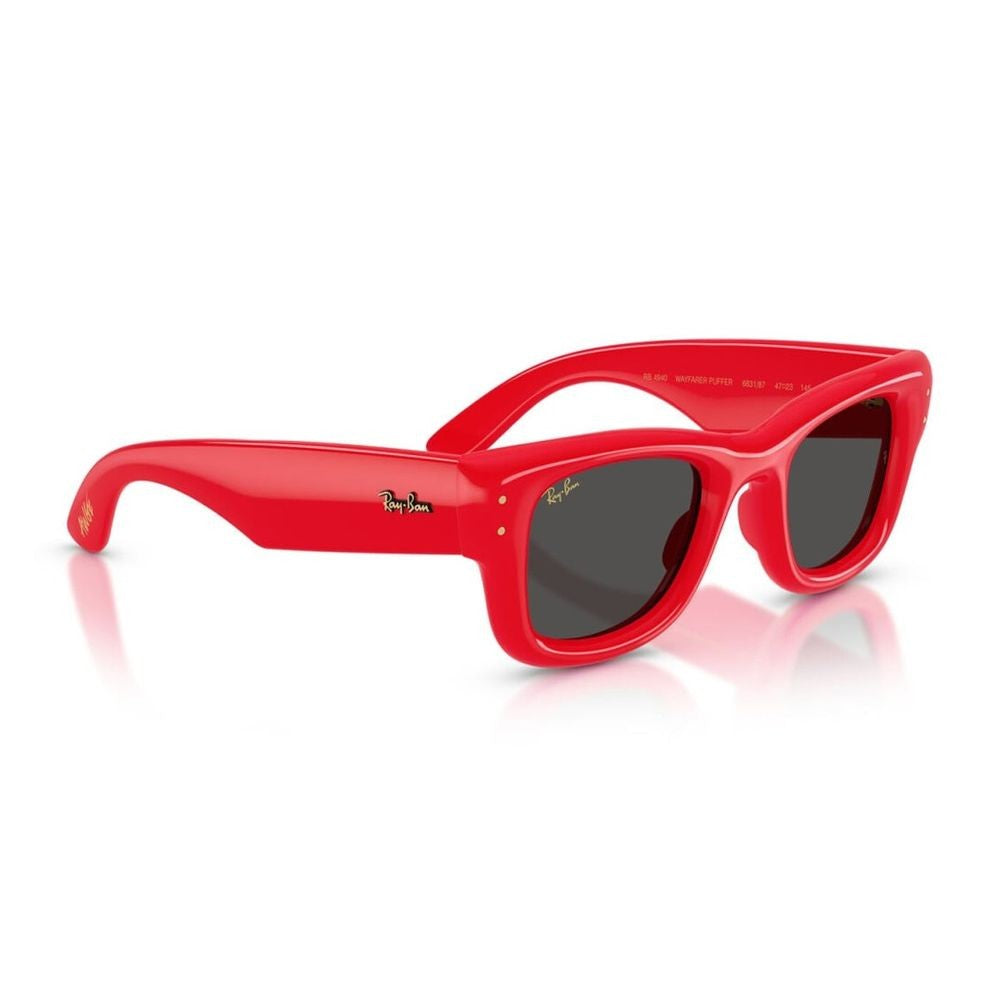 Ray Ban Rb4940 Wayfarer Puffer