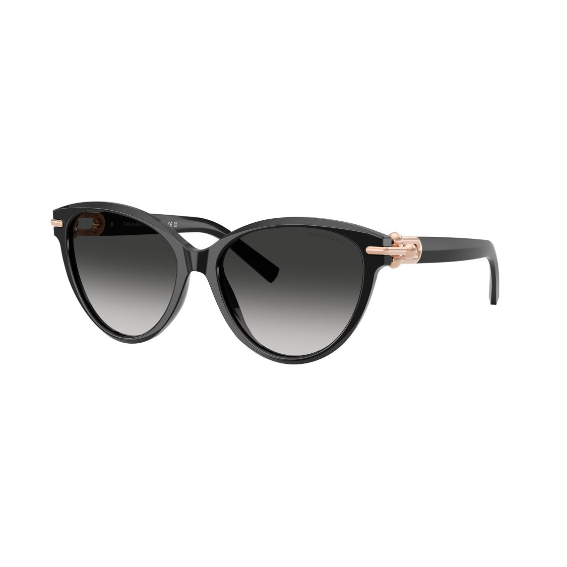 Tiffany & Co. 0Tf4261 Cat-Eye Sunglasses