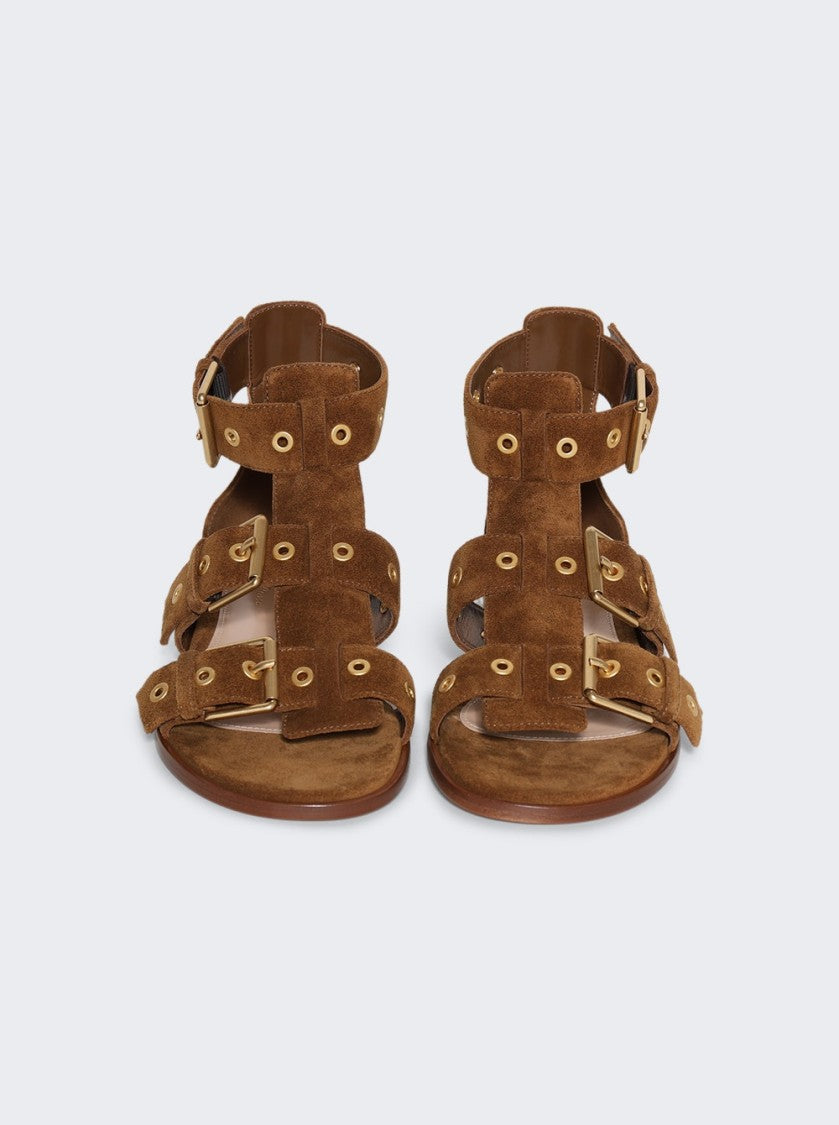 Gianvito Rossi Buckle Sandals Texas