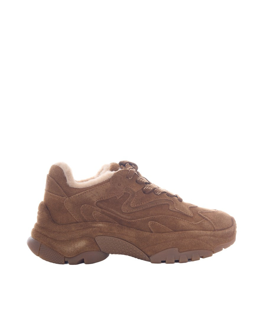 Ash Chestnut Addict Bis Fur Suede Faux Fur Sneakers