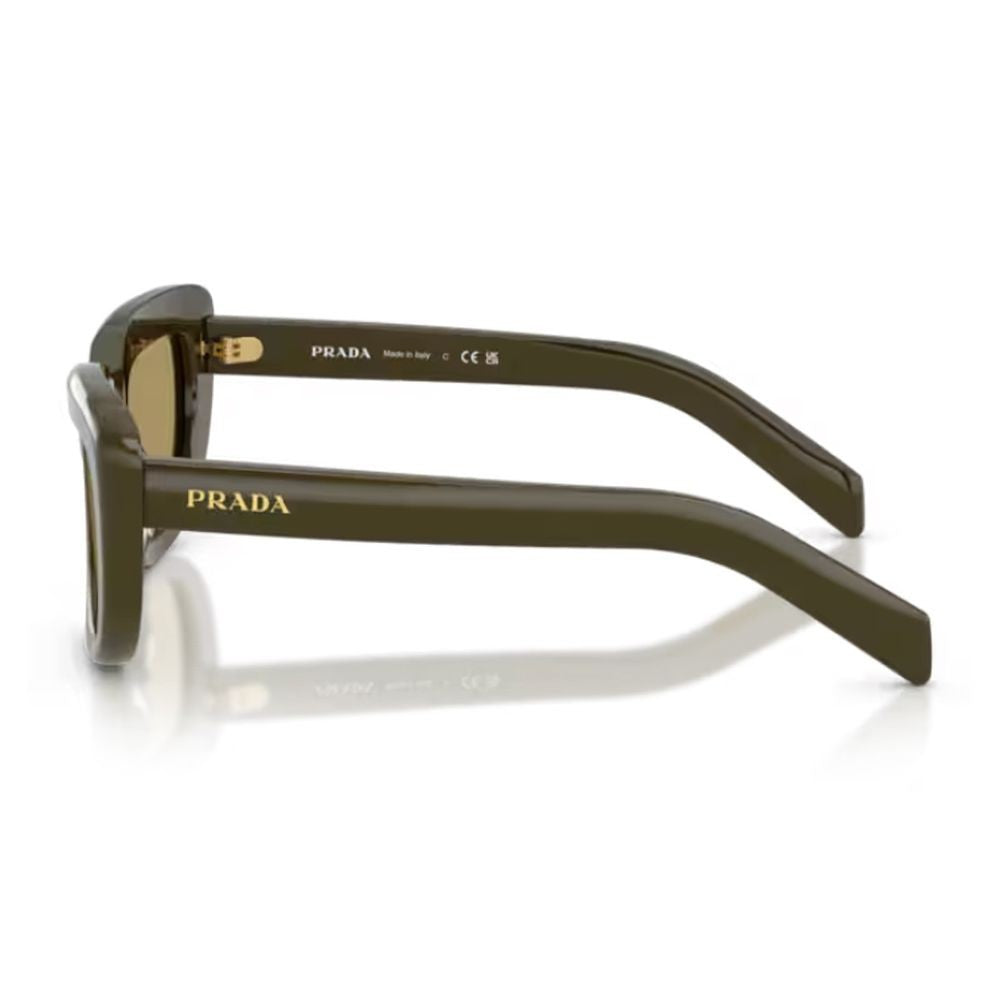 Prada Geometric Acetate Sunglasses With Iconic Logo Detail