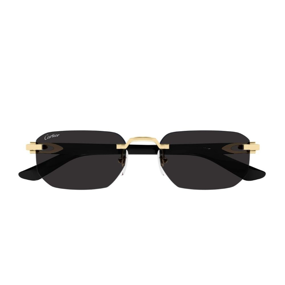 Cartier Ct0622s Décor C Allongé De Cartier Sunglasses