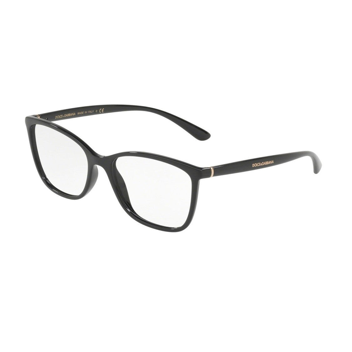 Dolce & Gabbana Black Dg5026 Celluloid Rectangular Glasses