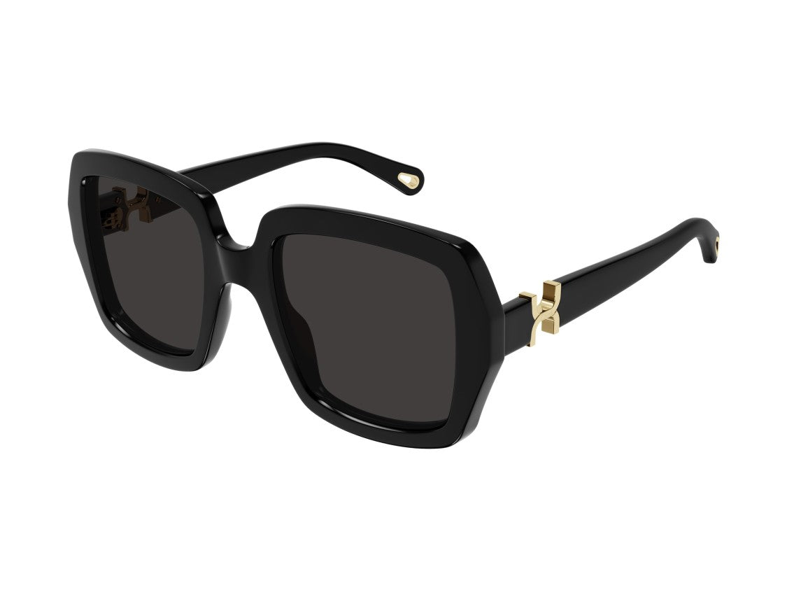 Chloé Black Ch0301s Acetate Square Sunglasses
