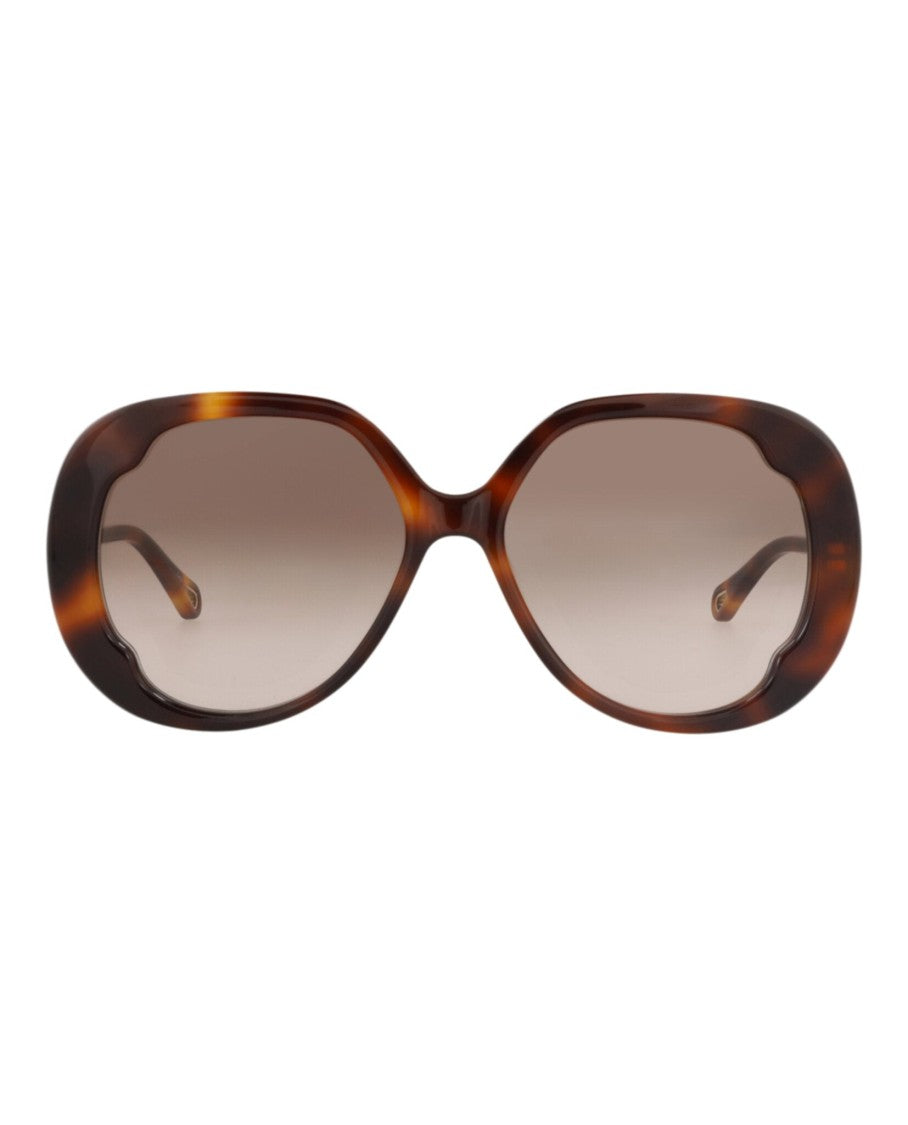 Chloé Round-Frame Recycled Acetate Sunglasses