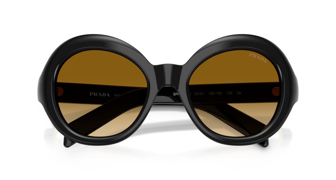 Prada 0Pr D08su Oversized Rounded Sunglasses