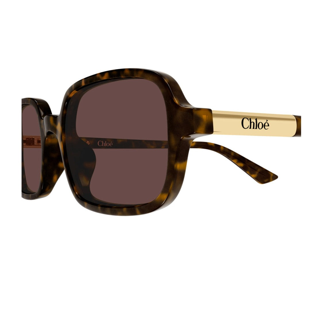 Chloé Havana Ch0363s Rectangular Acetate Sunglasses