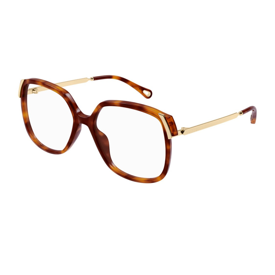 Chloé Havana Aly Oversized Square Acetate Sunglasses