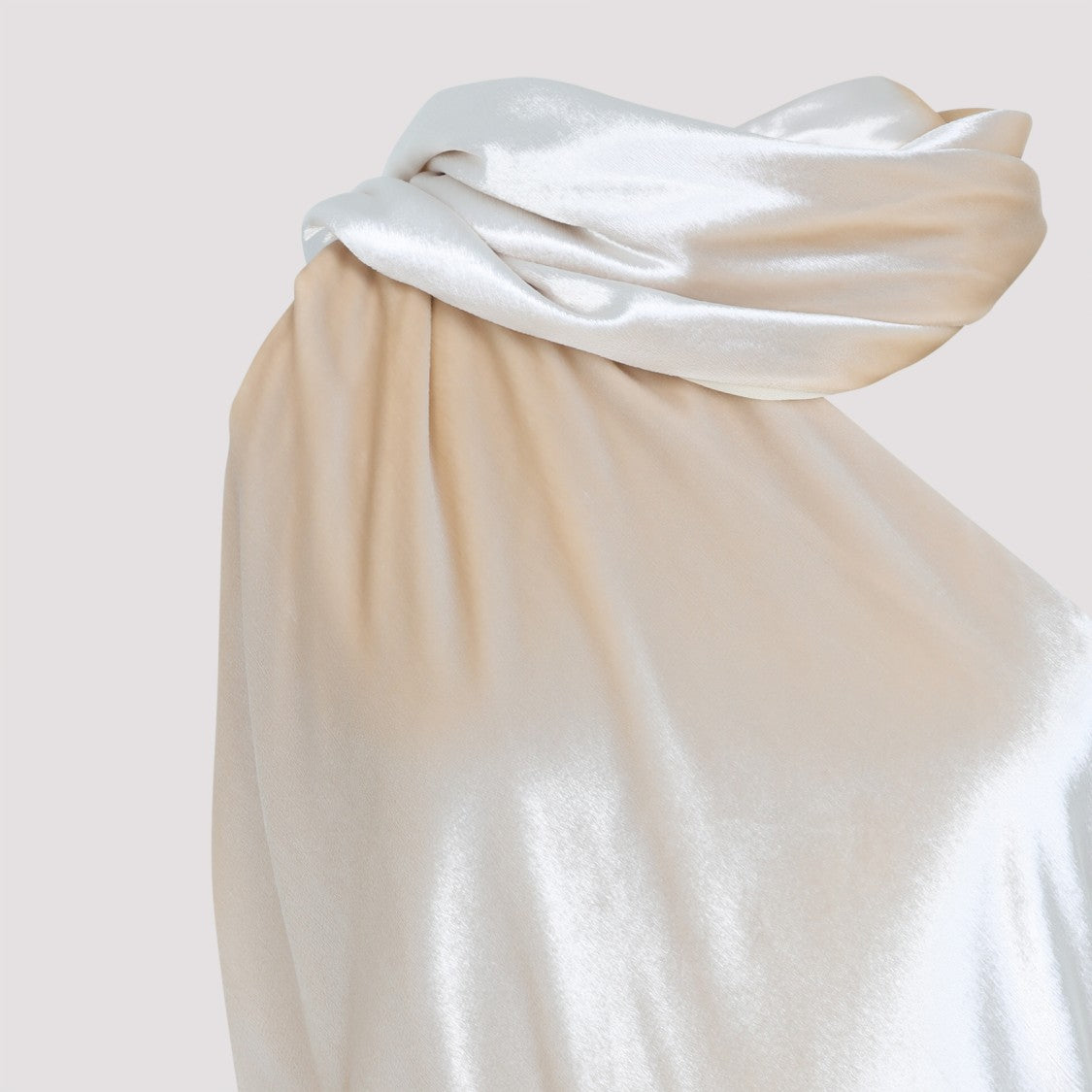 Alberta Ferretti Velvet Long Dress