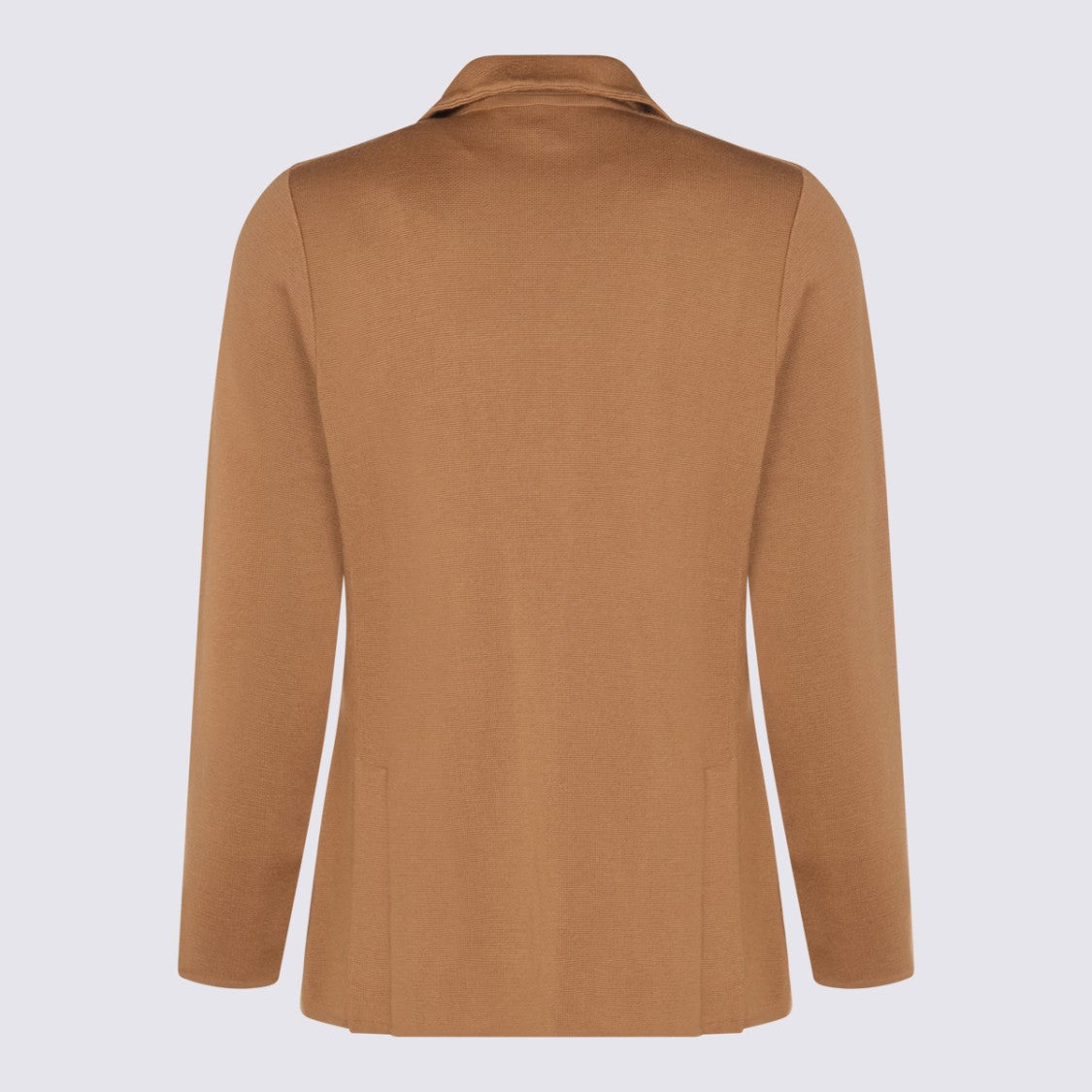 Lardini Tailored Blazer With Notch Lapels And Unique Lapel Pin
