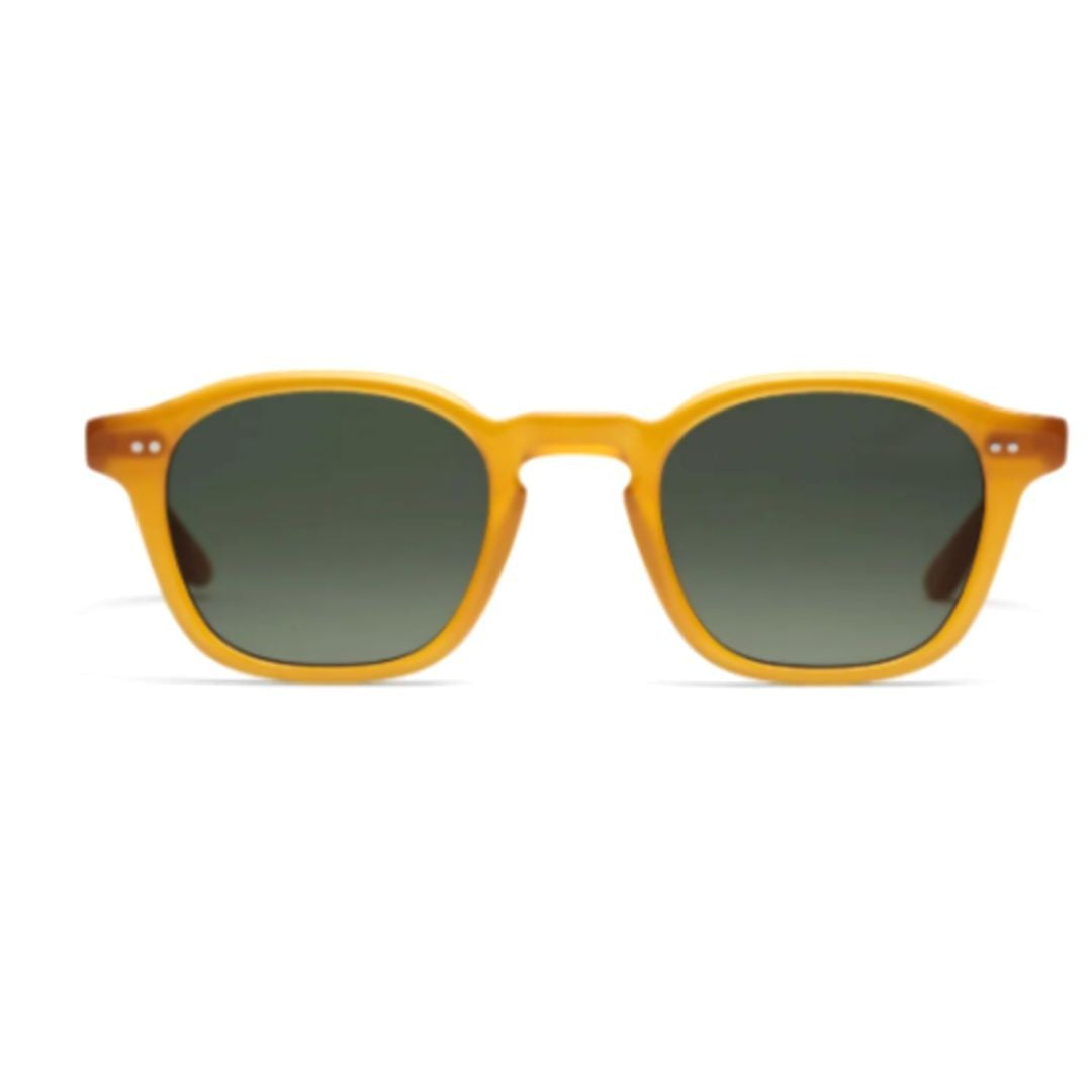 Peter And May Pm Palace Translucent Honey Acetate Square Sunglasses