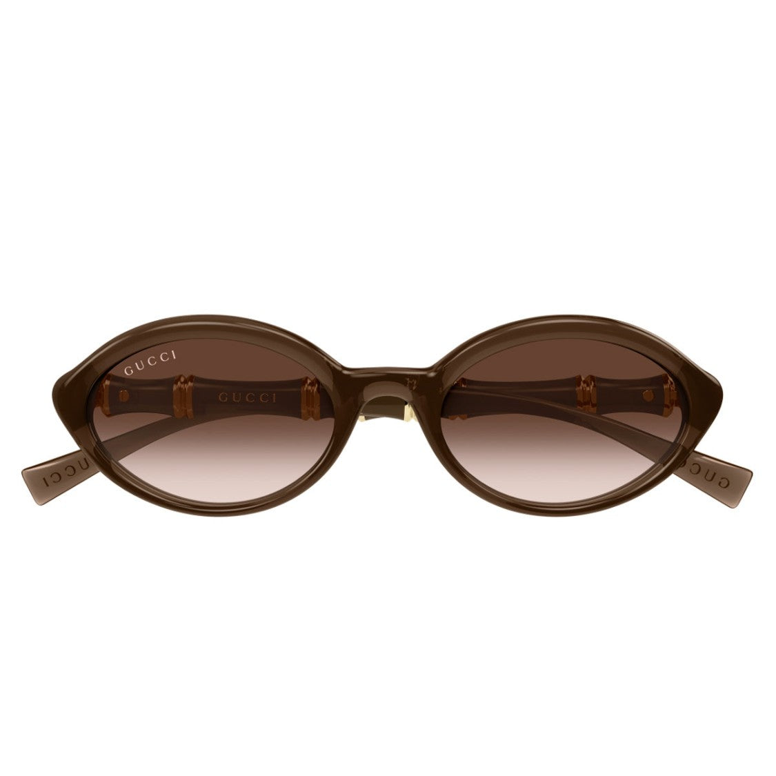 Gucci Brown Sign Injected Sunglasses