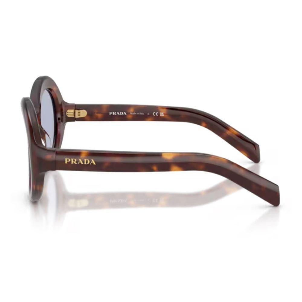 Prada Havana Pr D08su Round Acetate Sunglasses