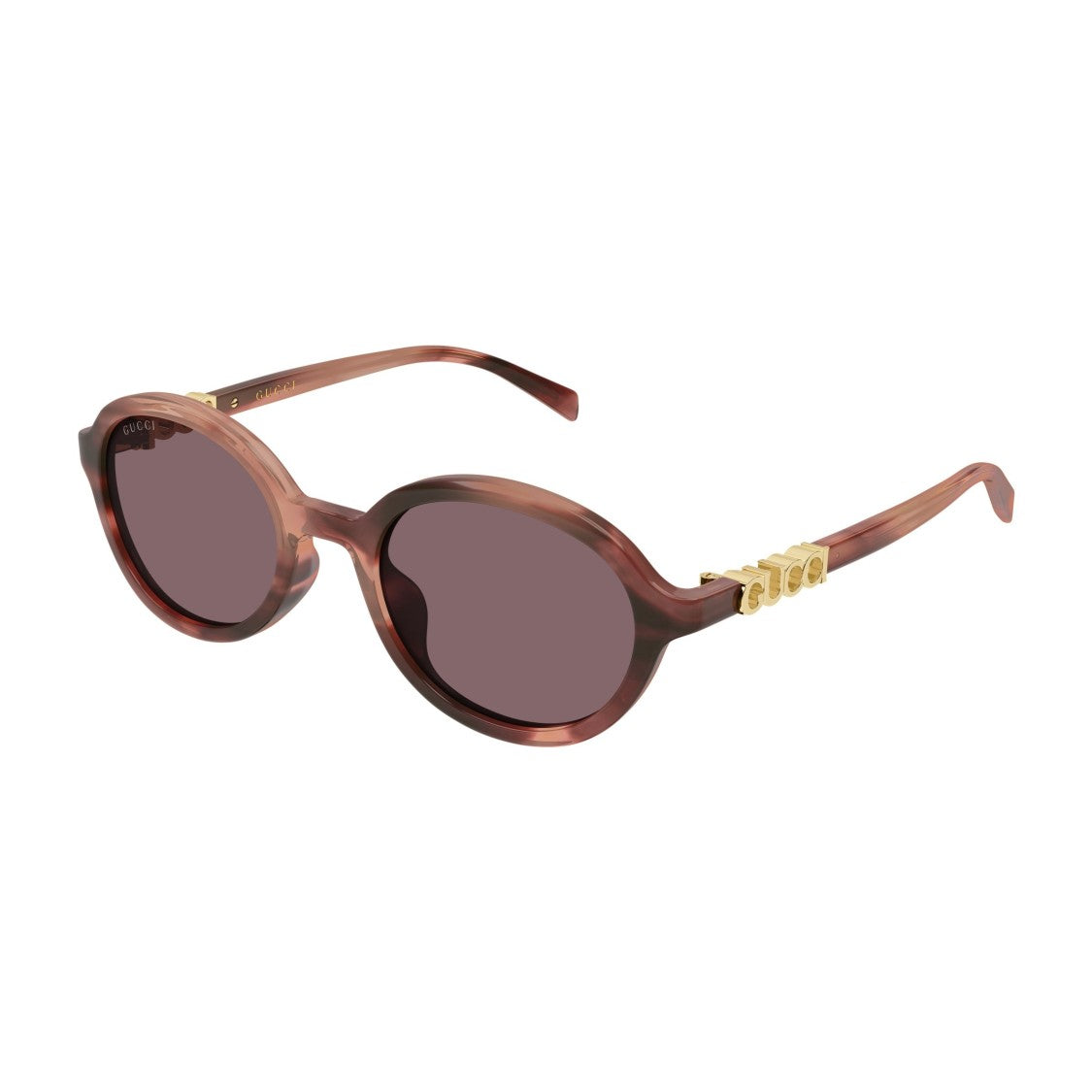 Gucci Gg2033sa Translucent Brown Acetate Sunglasses