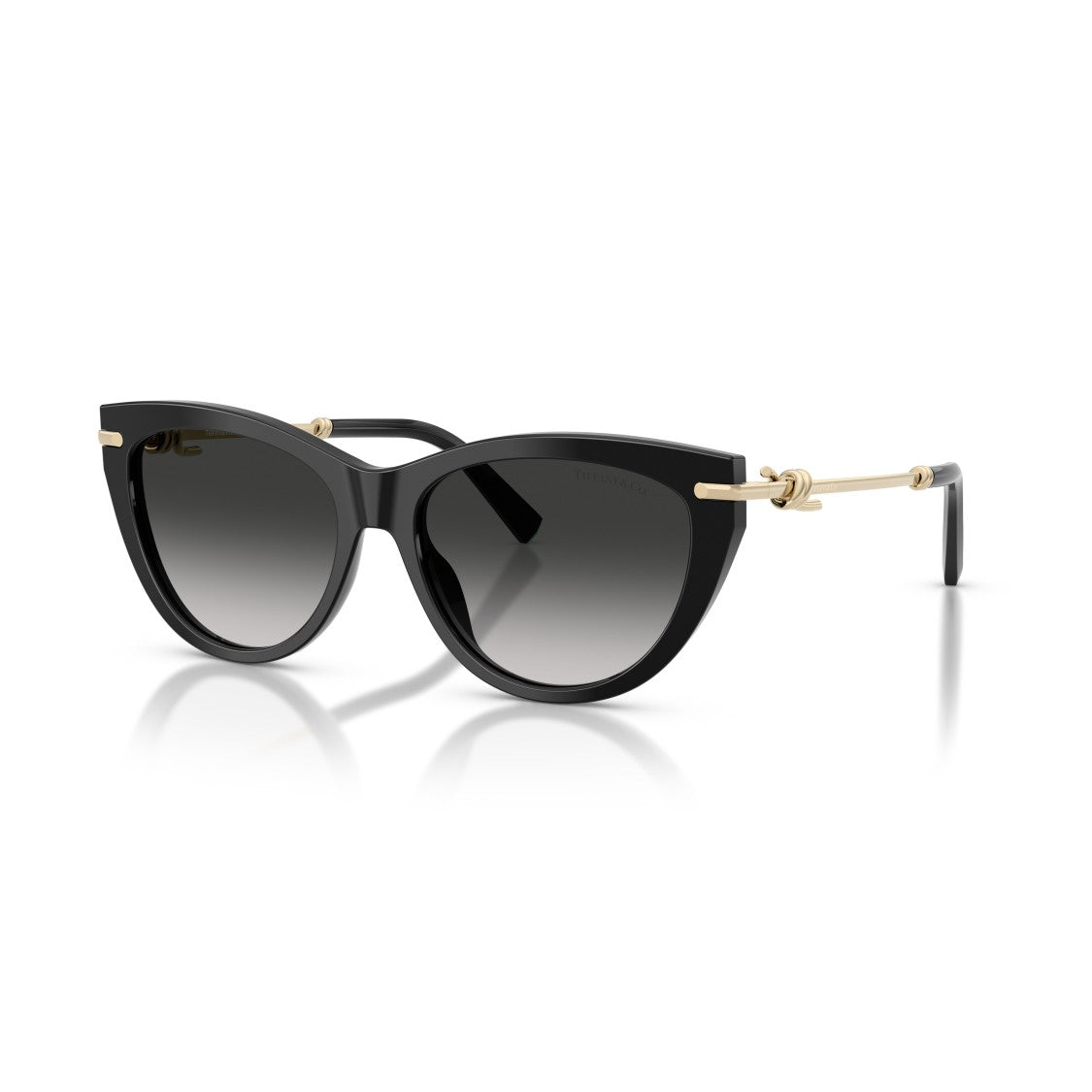 Tiffany & Co. 0Tf4253 Cat-Eye Sunglasses