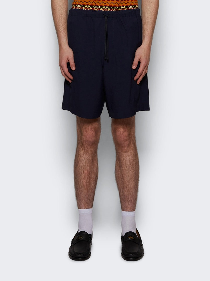 Dries Van Noten Piperi Shorts Navy