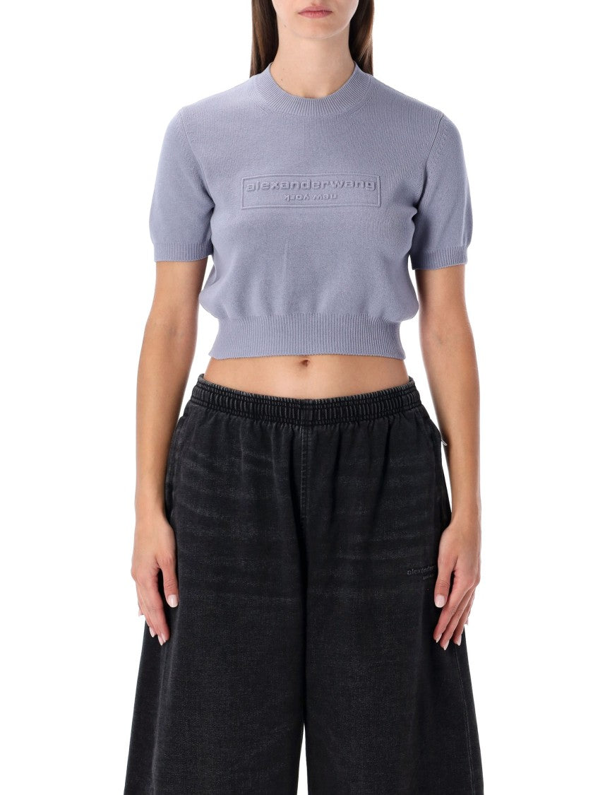 Alexander Wang Cropped Ribbed Chenille Sweater With Logo