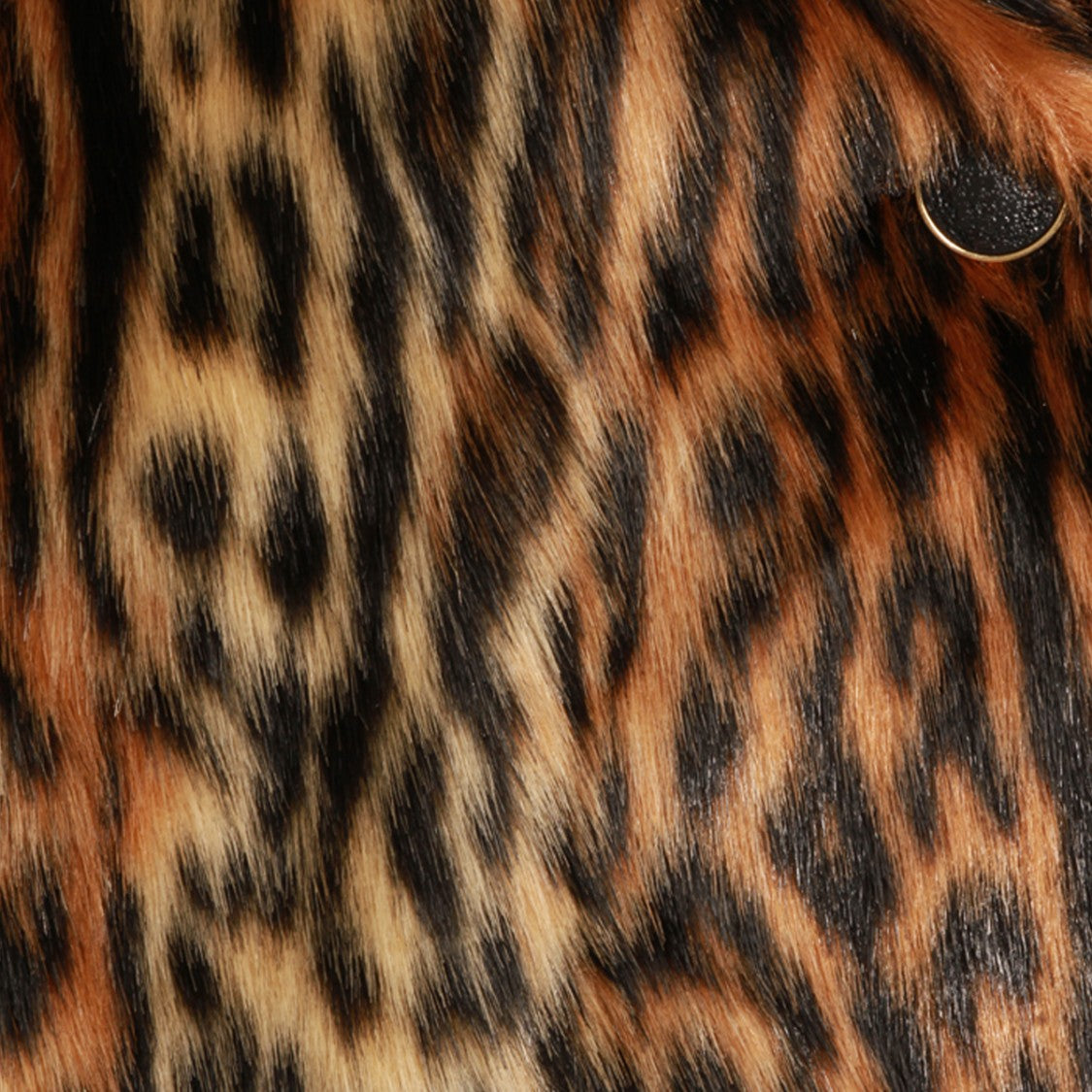Roberto Cavalli Short Animal Print Coat With Classic Collar