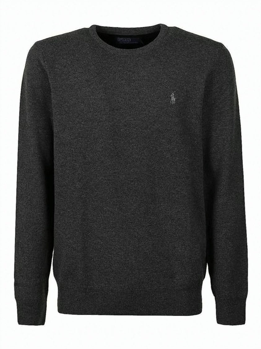 Polo Ralph Lauren Long-Sleeve Wool Sweater With Classic Crew Neckline