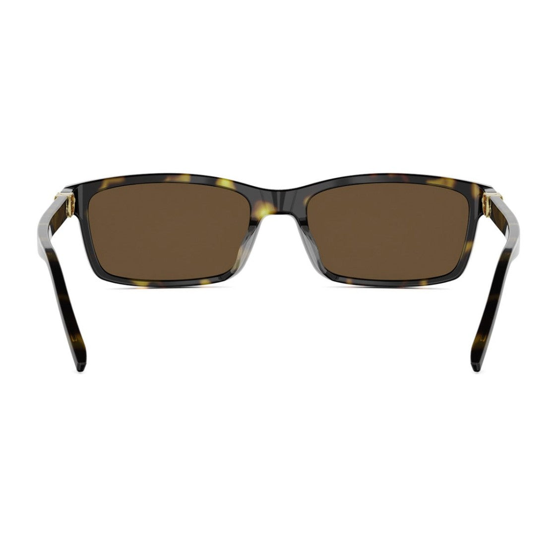 Dior Havana Petit Cd S1i Rectangular Sunglasses