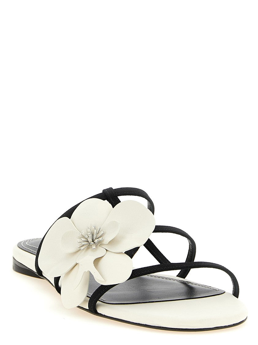 Zimmermann 'Orchid' Slides