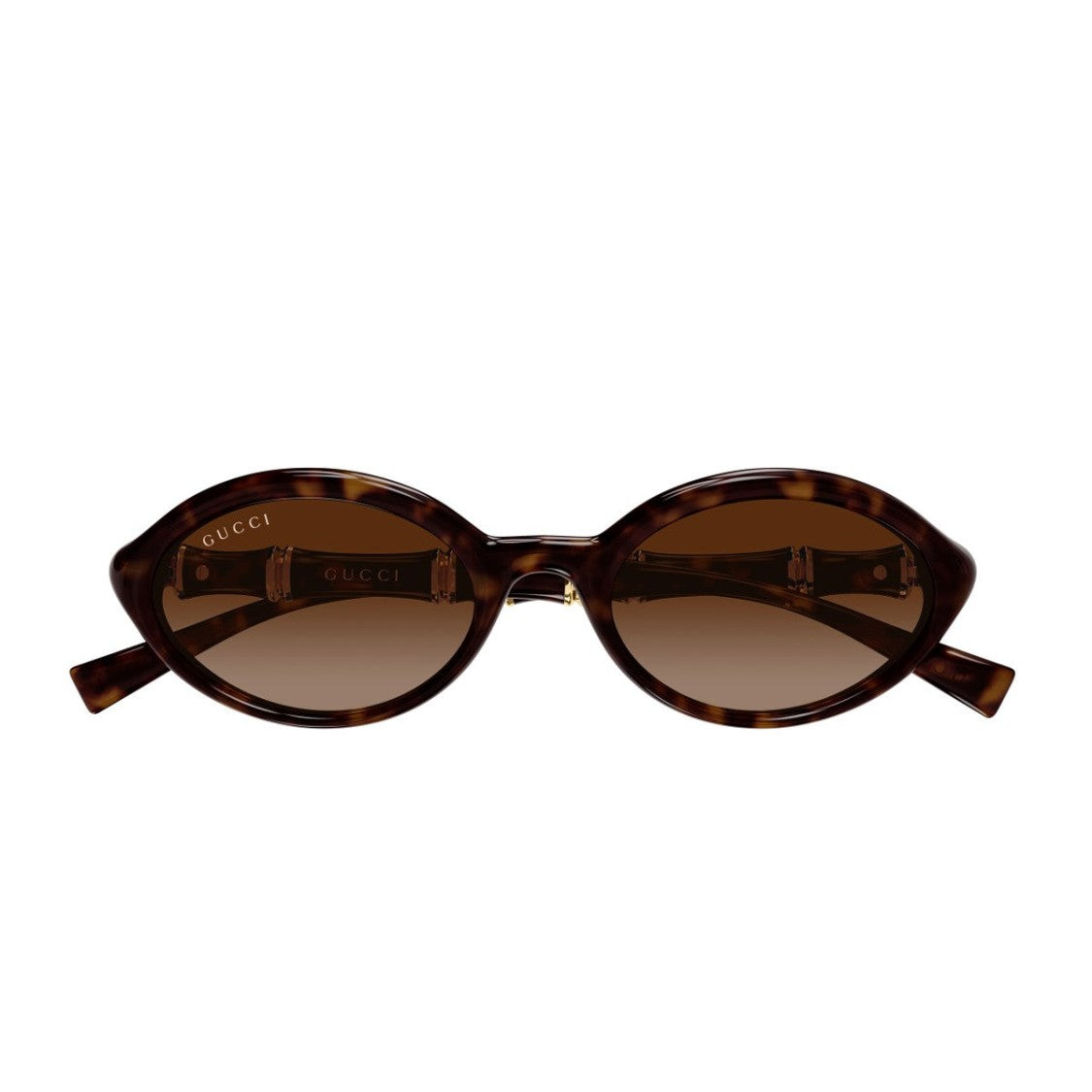 Gucci Havana Linea Sign Injected Oval Sunglasses