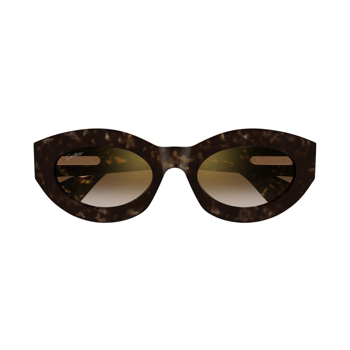 Cartier Ct0638s Bold Tortoiseshell Cat-Eye Sunglasses