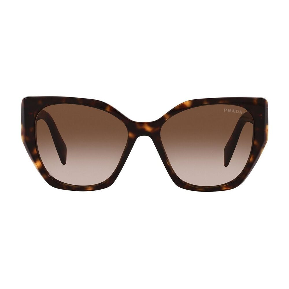 Prada Pr19zs Symbole Oversized Square Havana Acetate Sunglasses