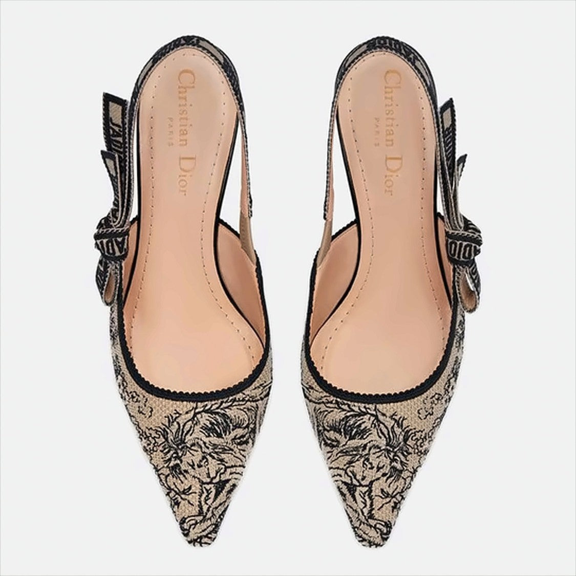Christian Dior Pointed-Toe Slingback Pumps With Intricate Embroidery