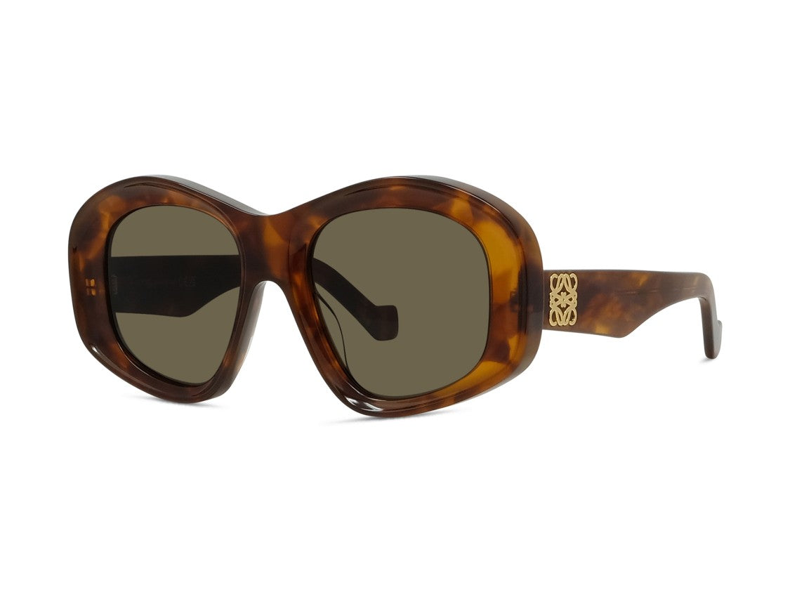 Loewe Lw40181i Bold Rounded Square Tortoiseshell Sunglasses