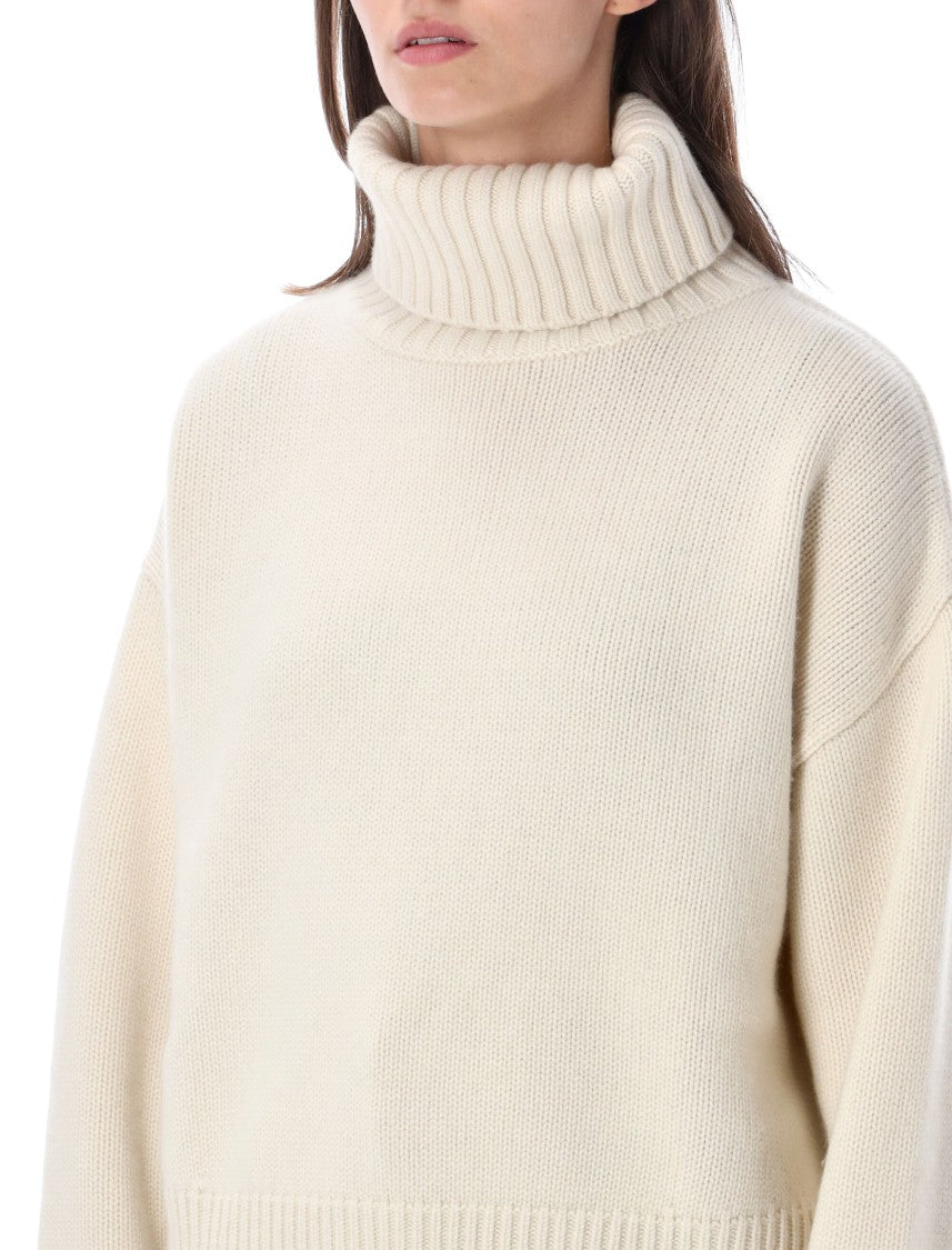 Extreme Cashmere Crop Xtra High Neck Cropped Ribbed Turtleneck Sweater