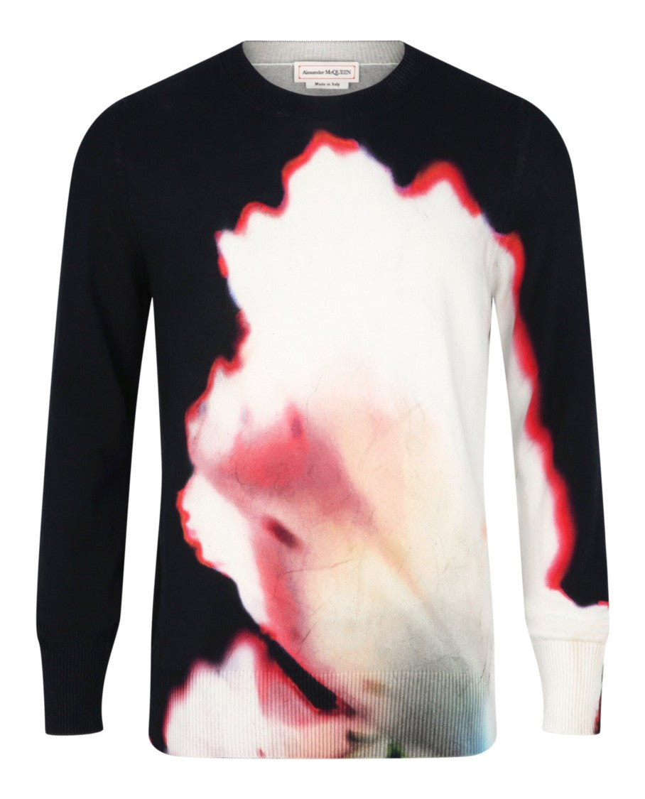 Alexander Mcqueen Solarized Flower-Print Pullover Sweater