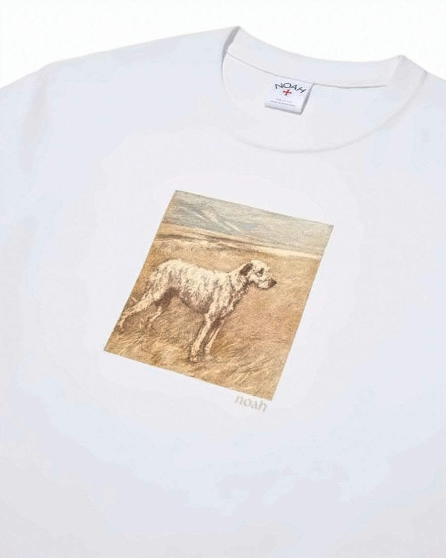 Noah Short-Sleeve Graphic T-Shirt With Earthy Landscape Print
