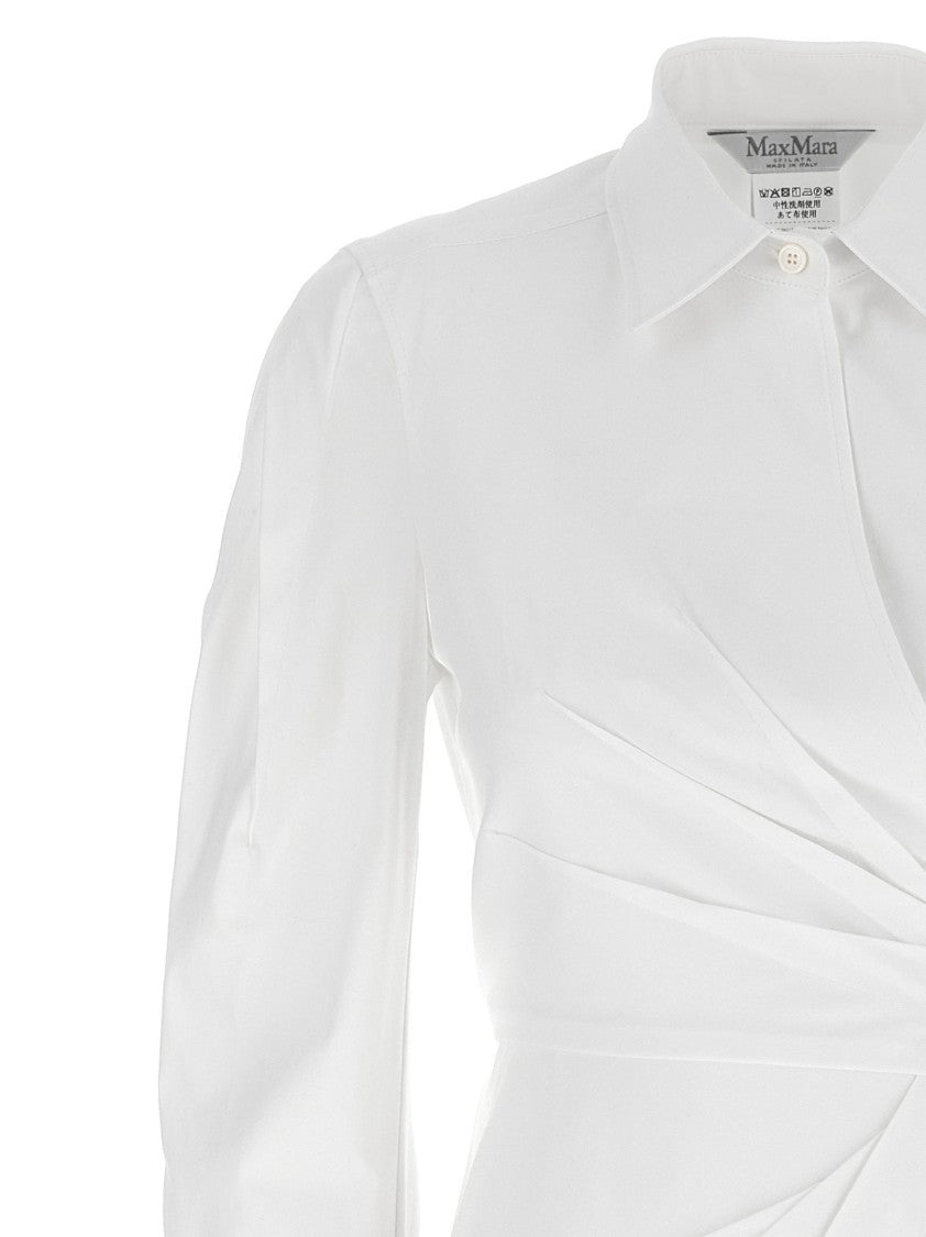 Max Mara 'Balzac' Dress