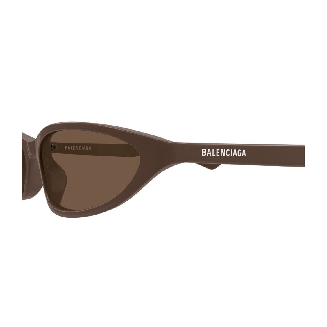 Balenciaga Brown Linea Everyday Recycled Acetate Cat-Eye Sunglasses