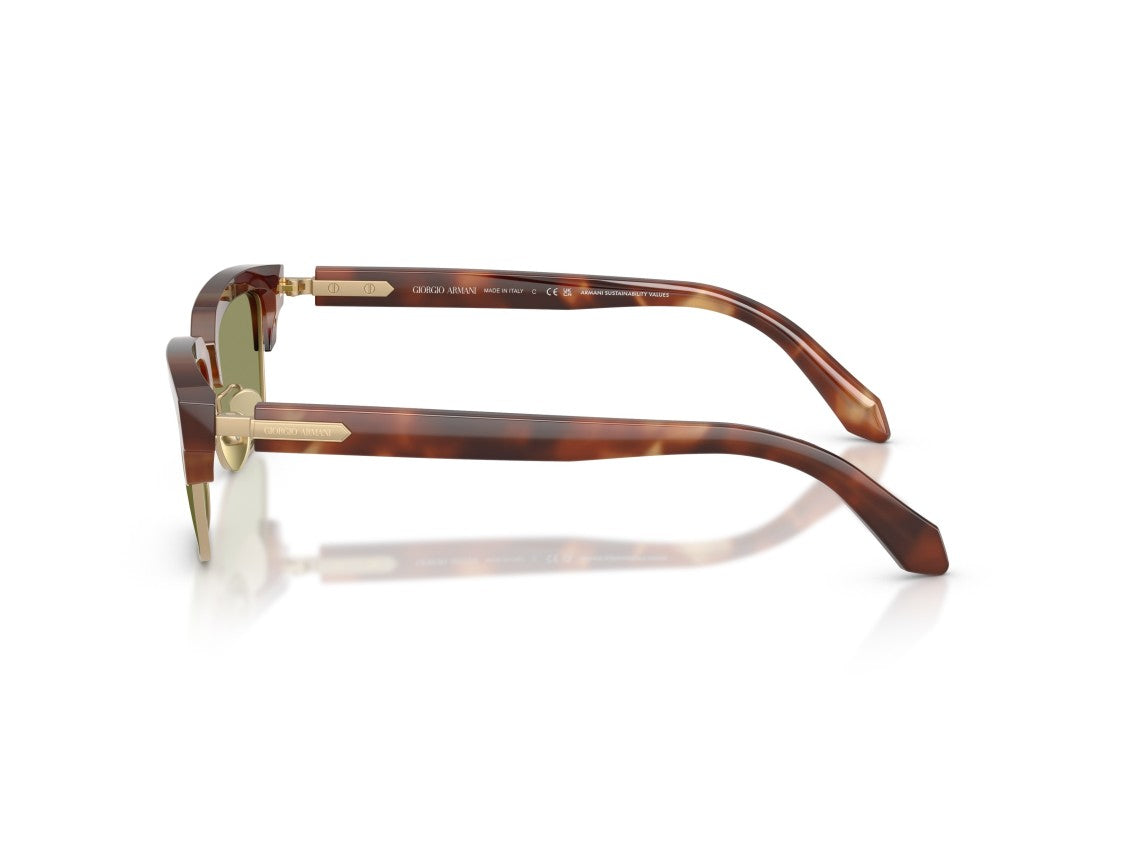 Giorgio Armani Gold 0Ar8243 Tortoiseshell Acetate Sunglasses
